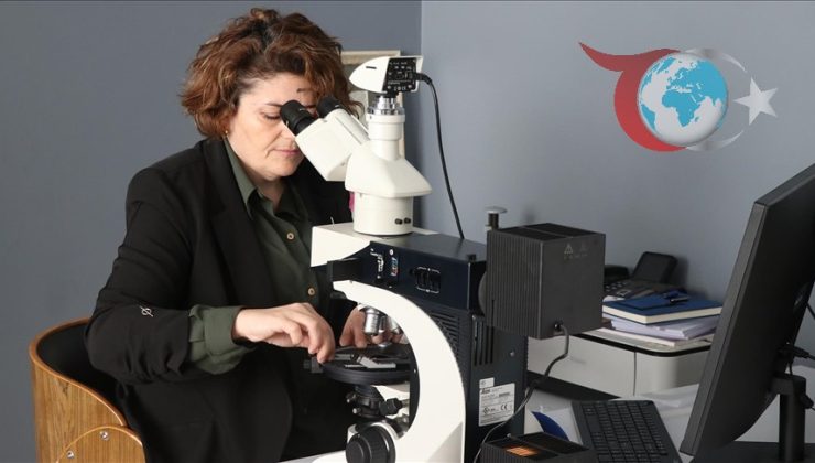 Yozgat’ta Teknoloji ve Atık Dönüşümü: Akademisyenlerden Yenilikçi Adım