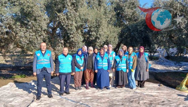 Zeytin Hasadı ve Bereket Duası: Yatağan’da Geleneksel Buluşma