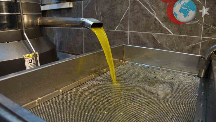 Zeytinyağı Fiyatları Yükseliyor: Üreticiler İçin Umut Verici Gelişmeler